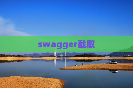 swagger截取